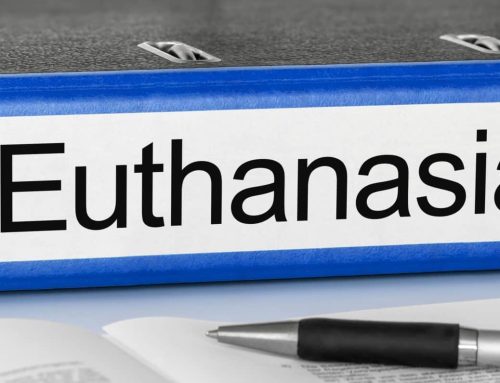 Uruguay regulates euthanasia: key aspects of the new legal framework and its ethical implications