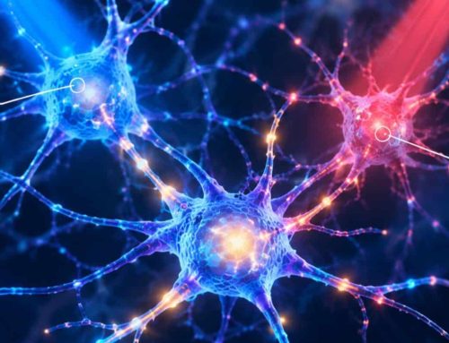 Turning neurons on and off with light: the botanical discovery that has won the 2026 Nobel Prize